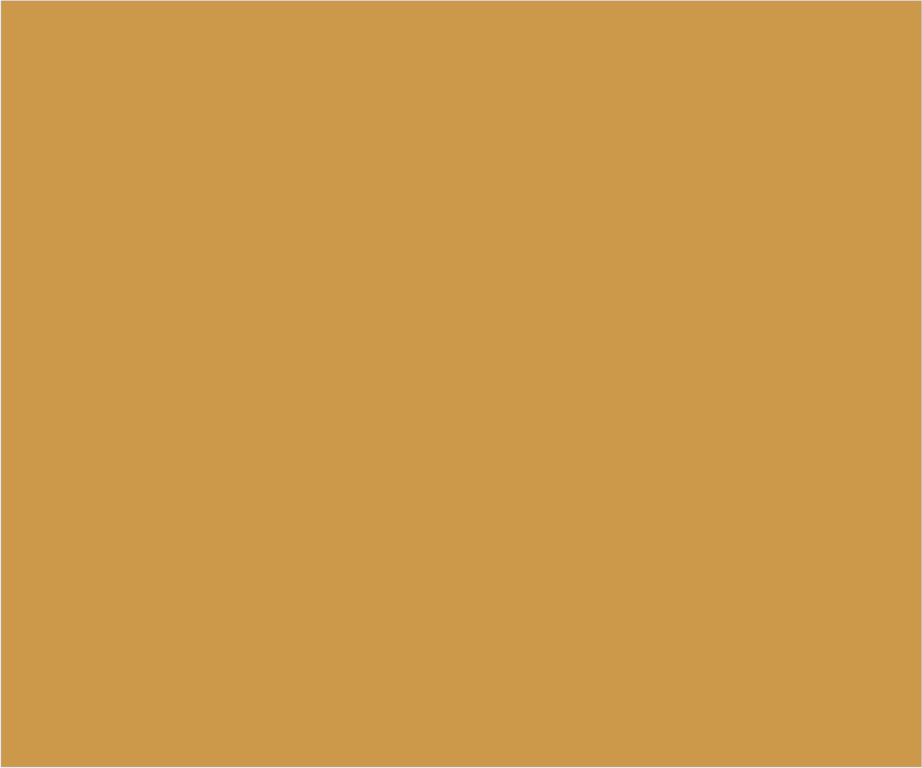 CT-22 Brown beige.jpg